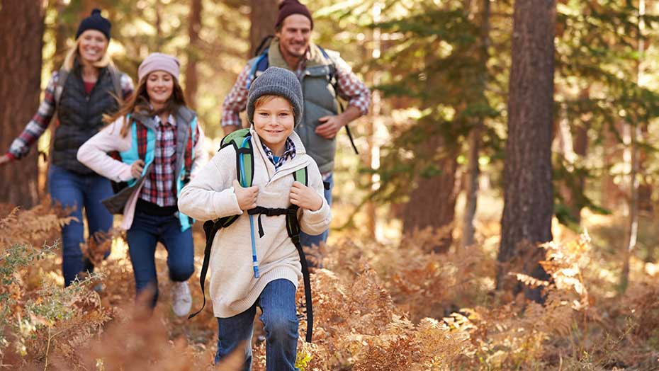 Ways to Stay Active During Fall image