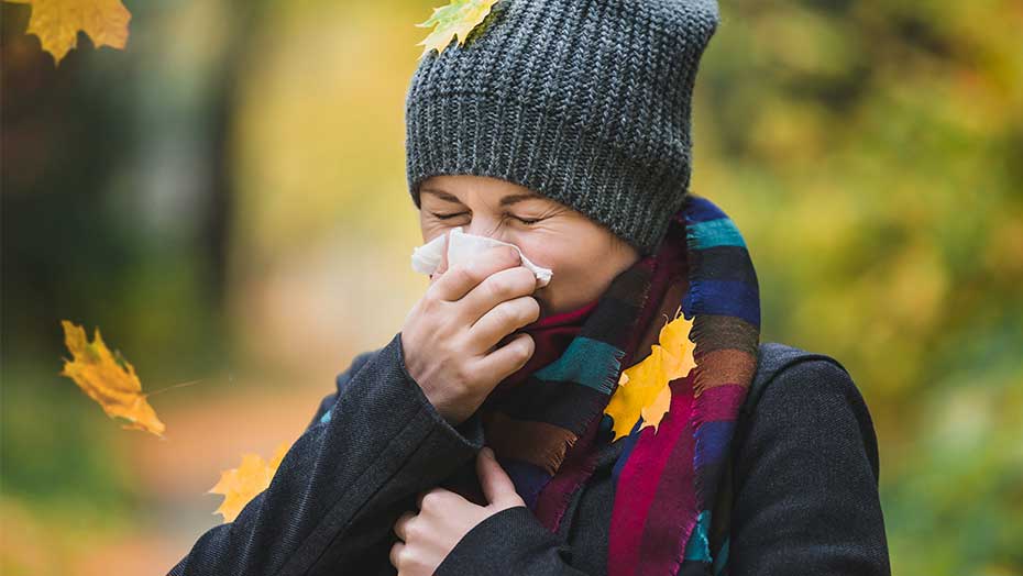 6 Tips to Prevent the Common Cold image