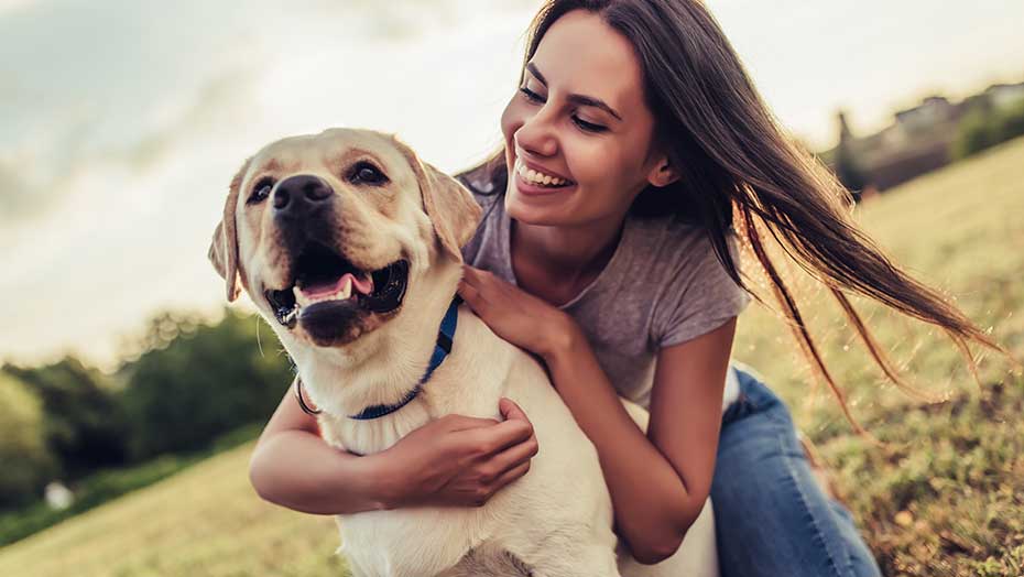 5 Ways to Stay Active With Your Pet image