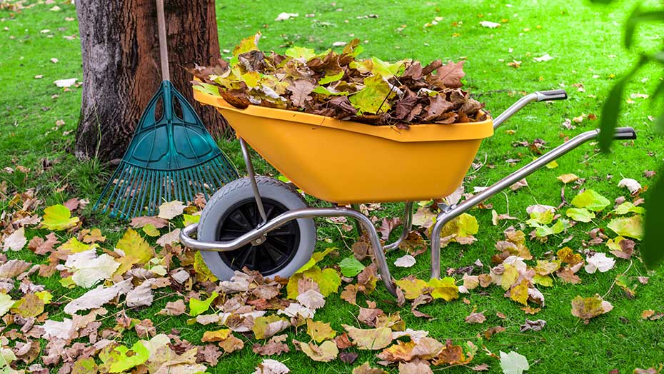 Tips for Yard Work Warriors image